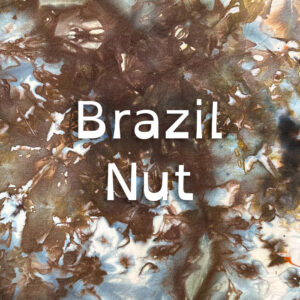 Brazil Nut Dye