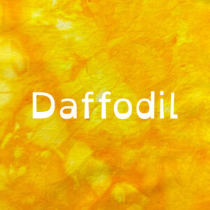 Daffodil Dye