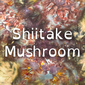 Shiitake Mushroom Dye