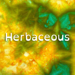 Herbaceous Dye